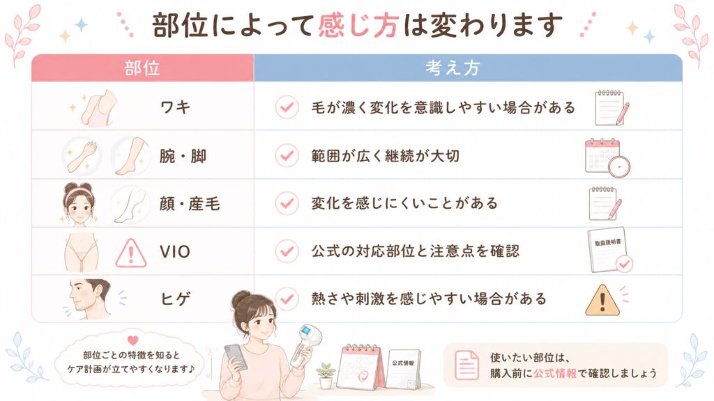 部位別に見る実感の考え方